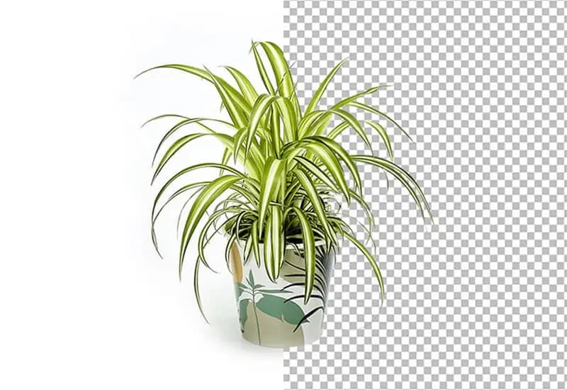 Photoshop Image Masking Service